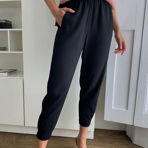 Aritzia Dexter Pant